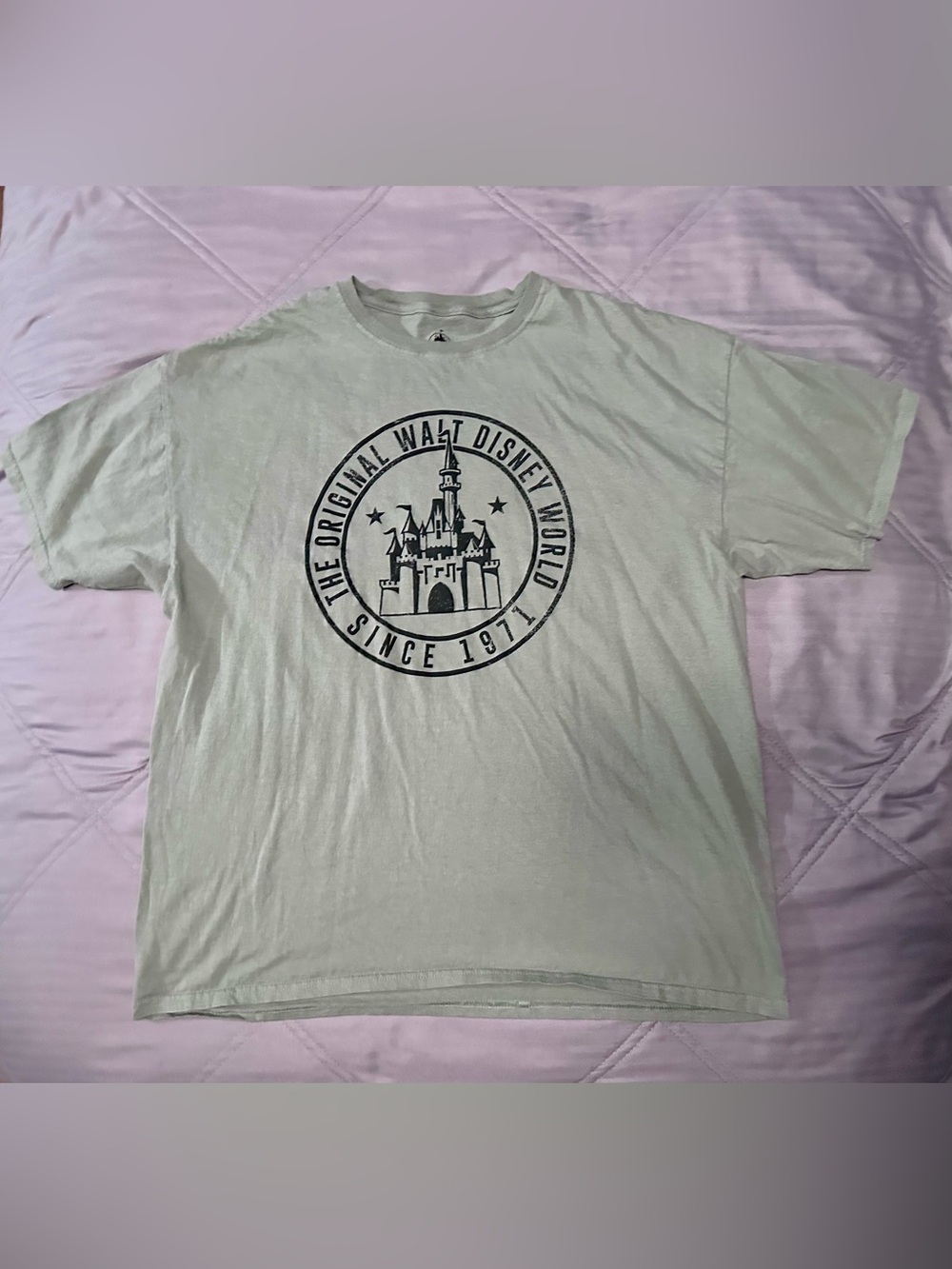 Disney Sage Green Castle Graphic Short Sleeve 100% Cotton Tee - Size XL